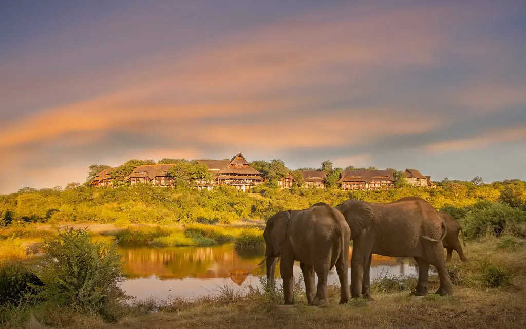 Victoria Falls Safari Lodge - Zimbabwe travel guide