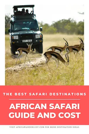 Learn all about where to go on safari, and discover the best safari destinations in Africa. #africansafari #africa #tanzania #zimbabwe #southafrica #botswana #zambia #kenya #adventure #travel #wanderlust