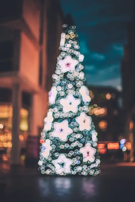 A decorated tree in the outdoors for Christmas in Africa