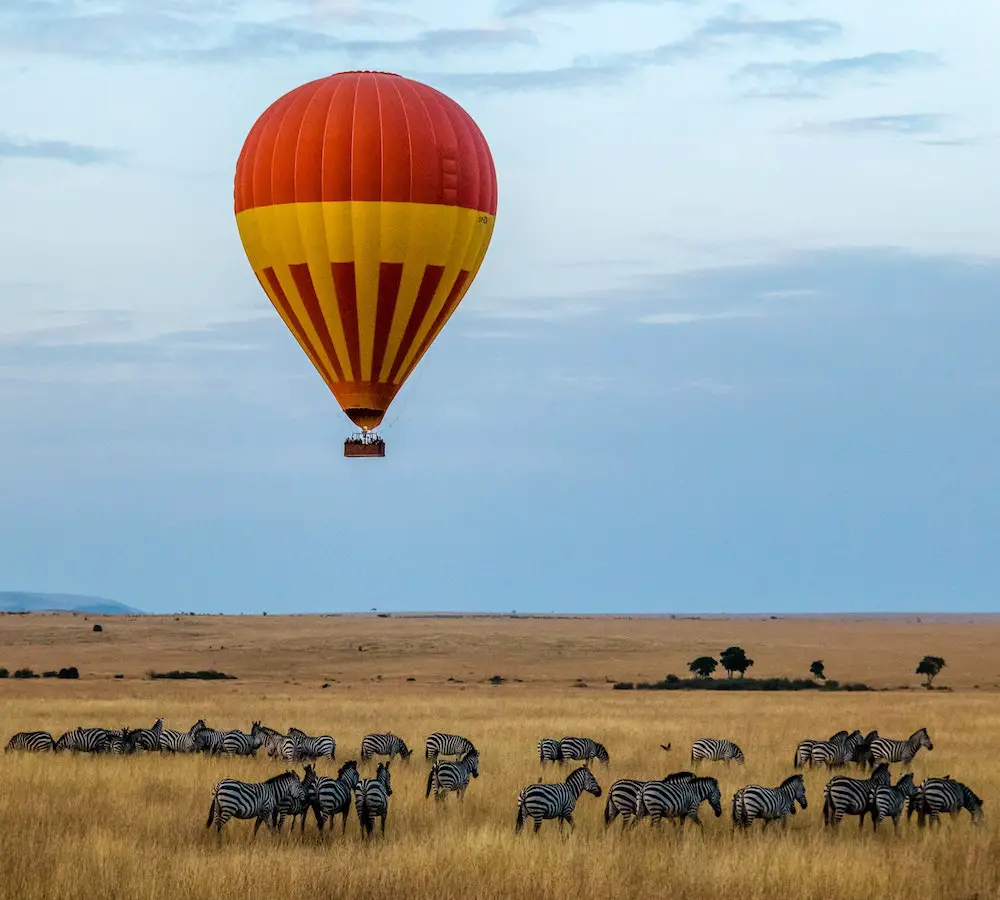 top 10 safari parks in the world
