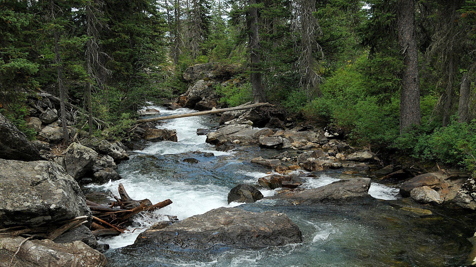 Creek Teton at Grand Teton National Park