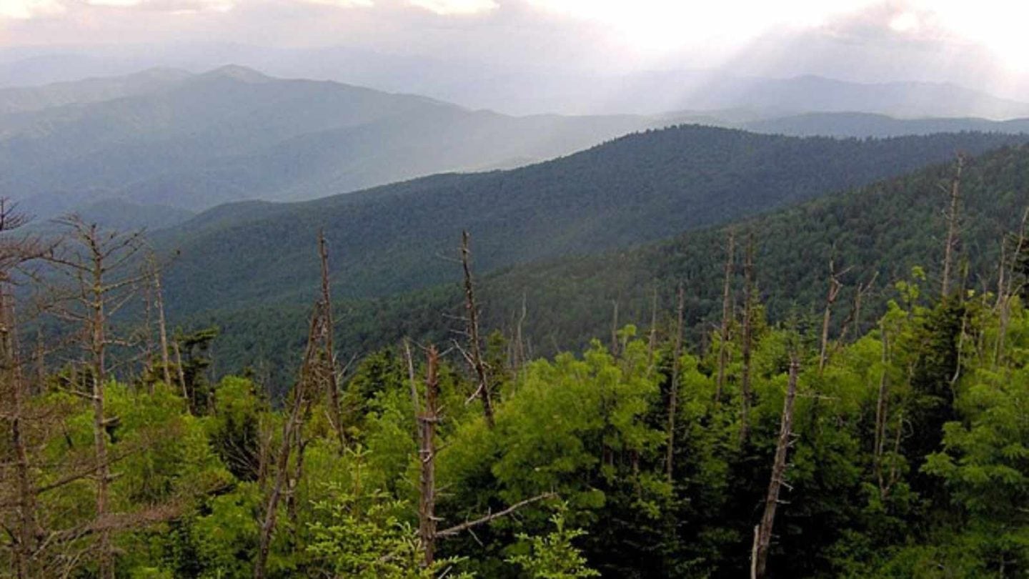 Irresistible Reasons the Smoky Mountains Will Ignite Your Passion for Hiking