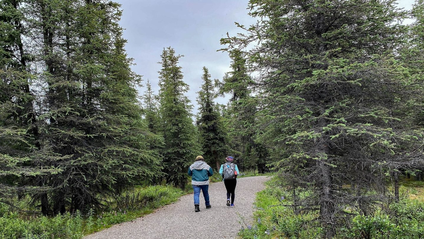 Denali National Park & Preserve