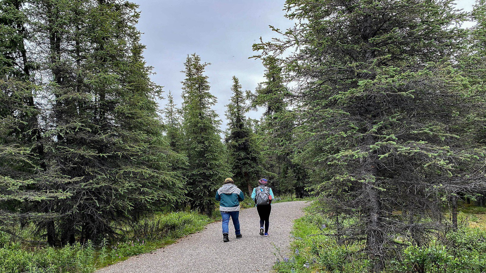 Denali National Park & Preserve