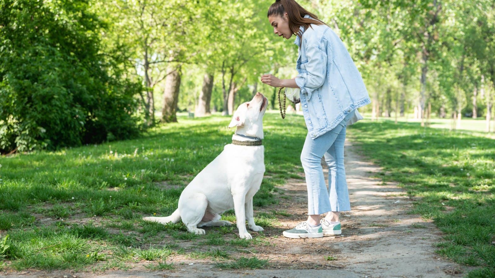 17 Reasons to Rethink Bringing Your Pet to National Parks