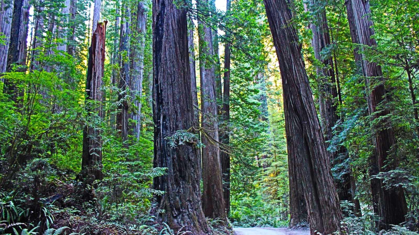 Breathtaking California Treasures Awaiting Your Visit
