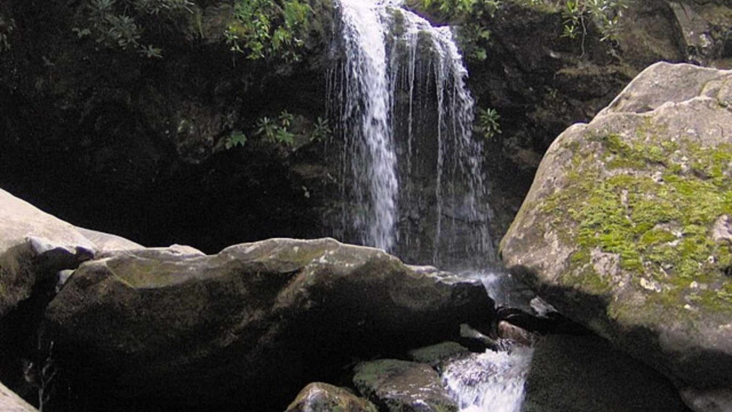 Irresistible Reasons the Smoky Mountains Will Ignite Your Passion for Hiking