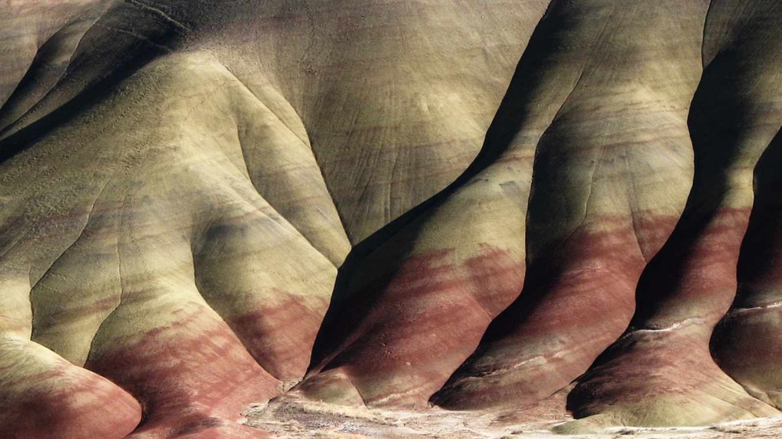 Unforgettable Hidden Treasures in America You Have to Experience Before You Leave This World!