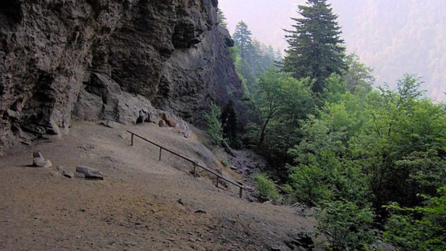 Irresistible Reasons the Smoky Mountains Will Ignite Your Passion for Hiking