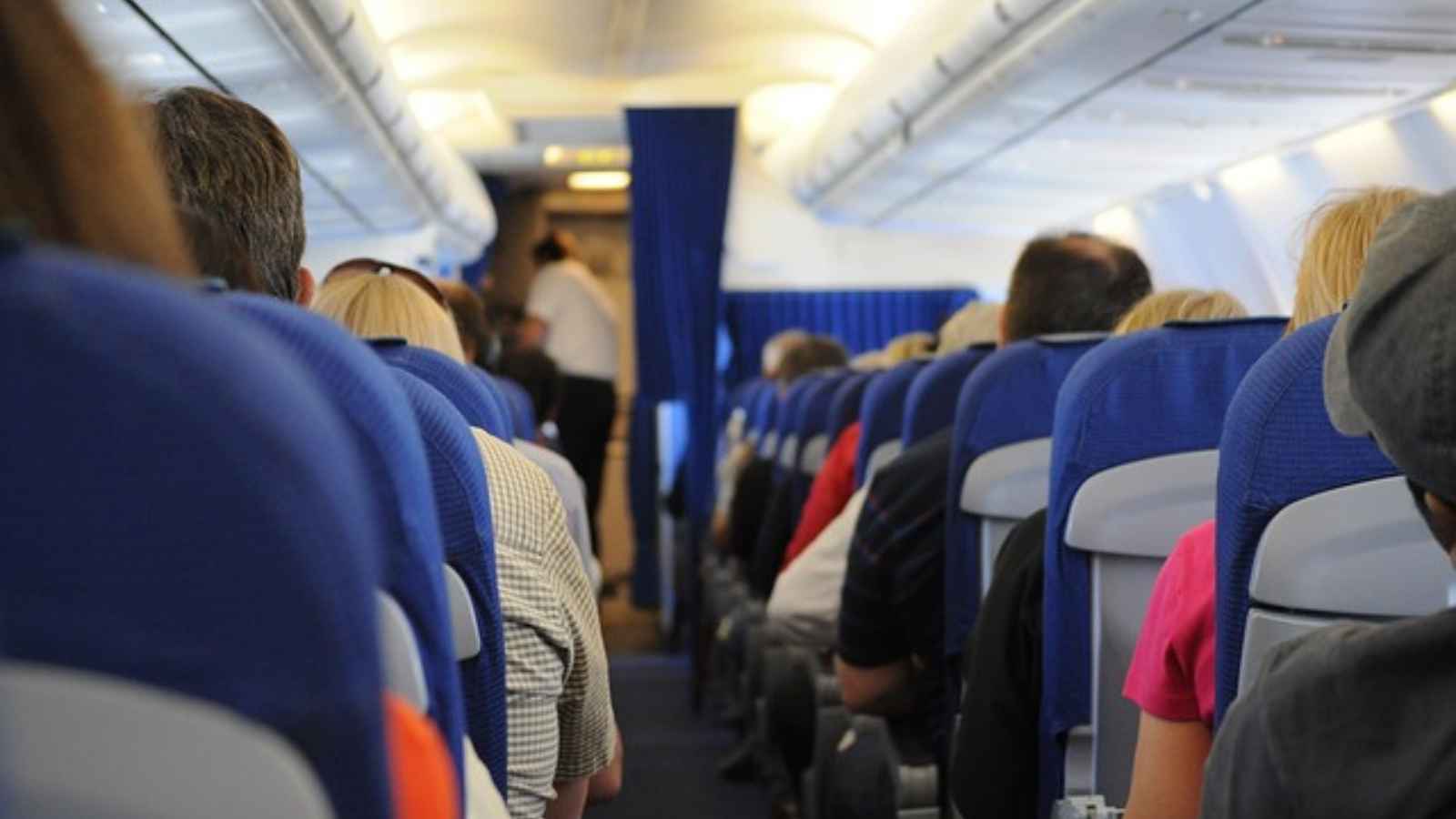 15 Oddly Compelling Facts About The Food You're Served On Airplanes