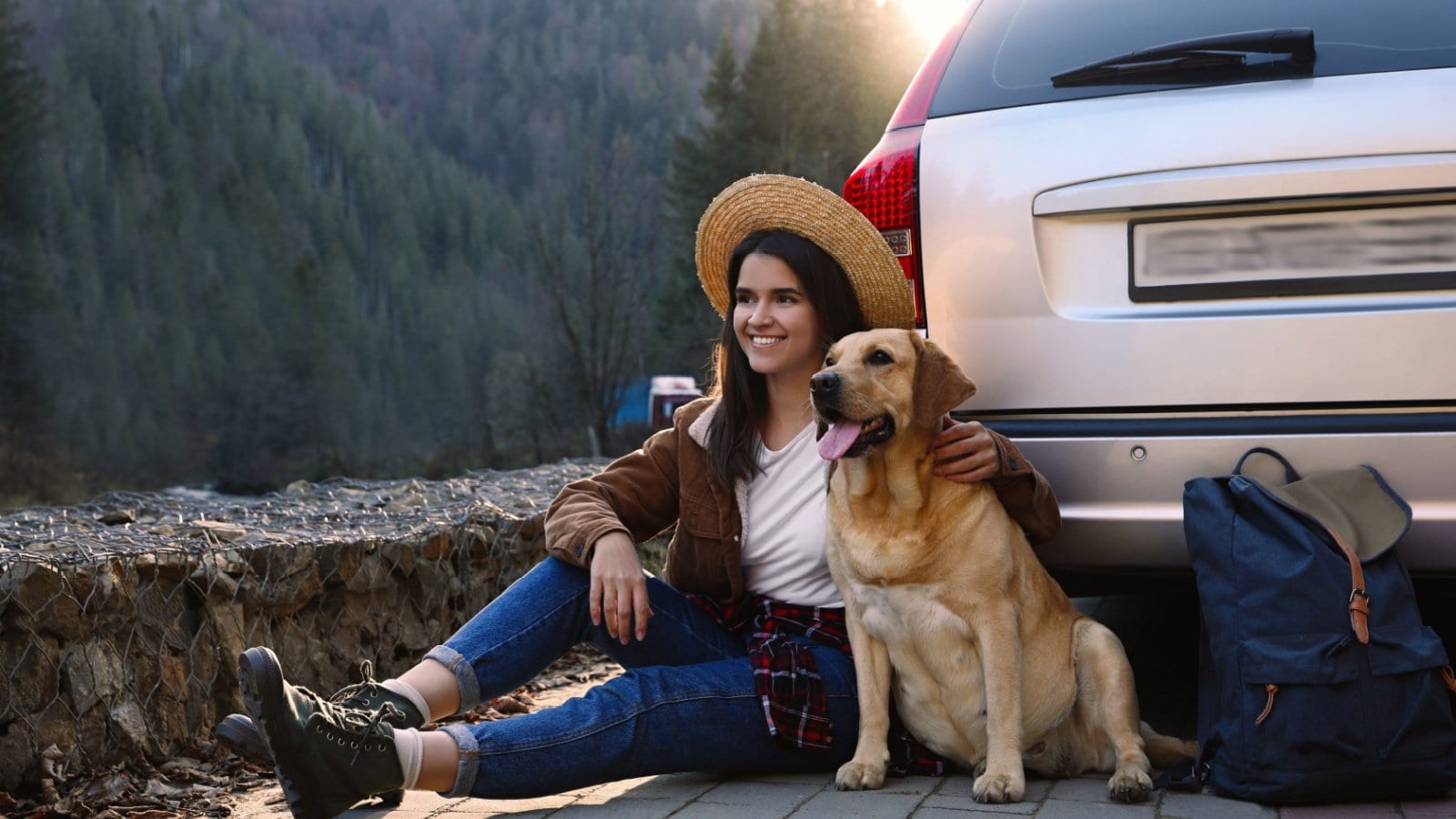 Essential Tips for Traveling with Your Furry Friend