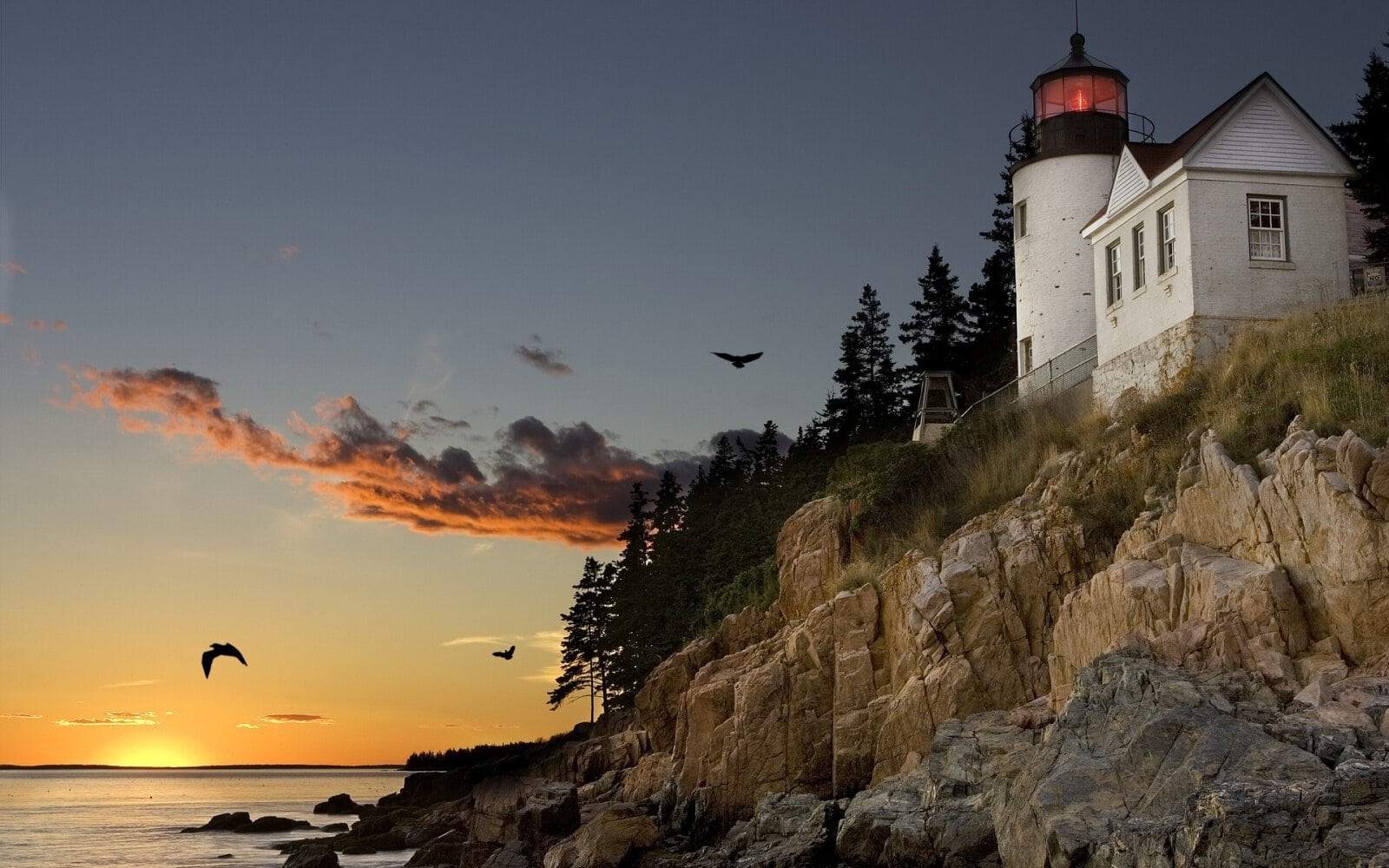 Must-See Tourist Spots in the U.S. That Everyone’s Talking About!