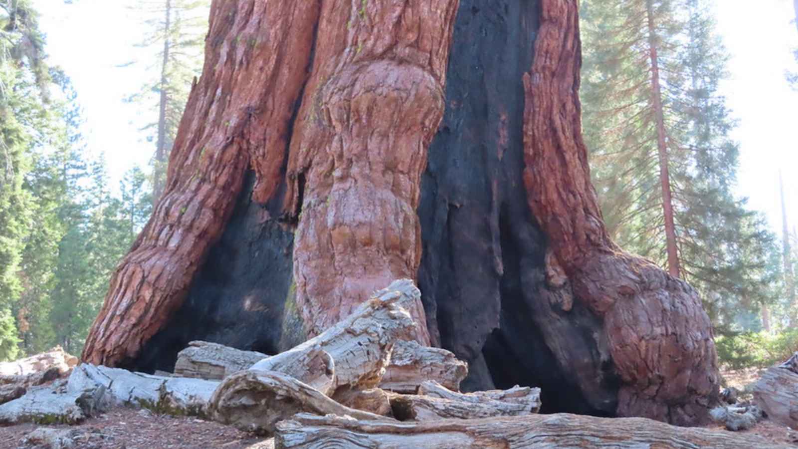 Breathtaking California Treasures Awaiting Your Visit