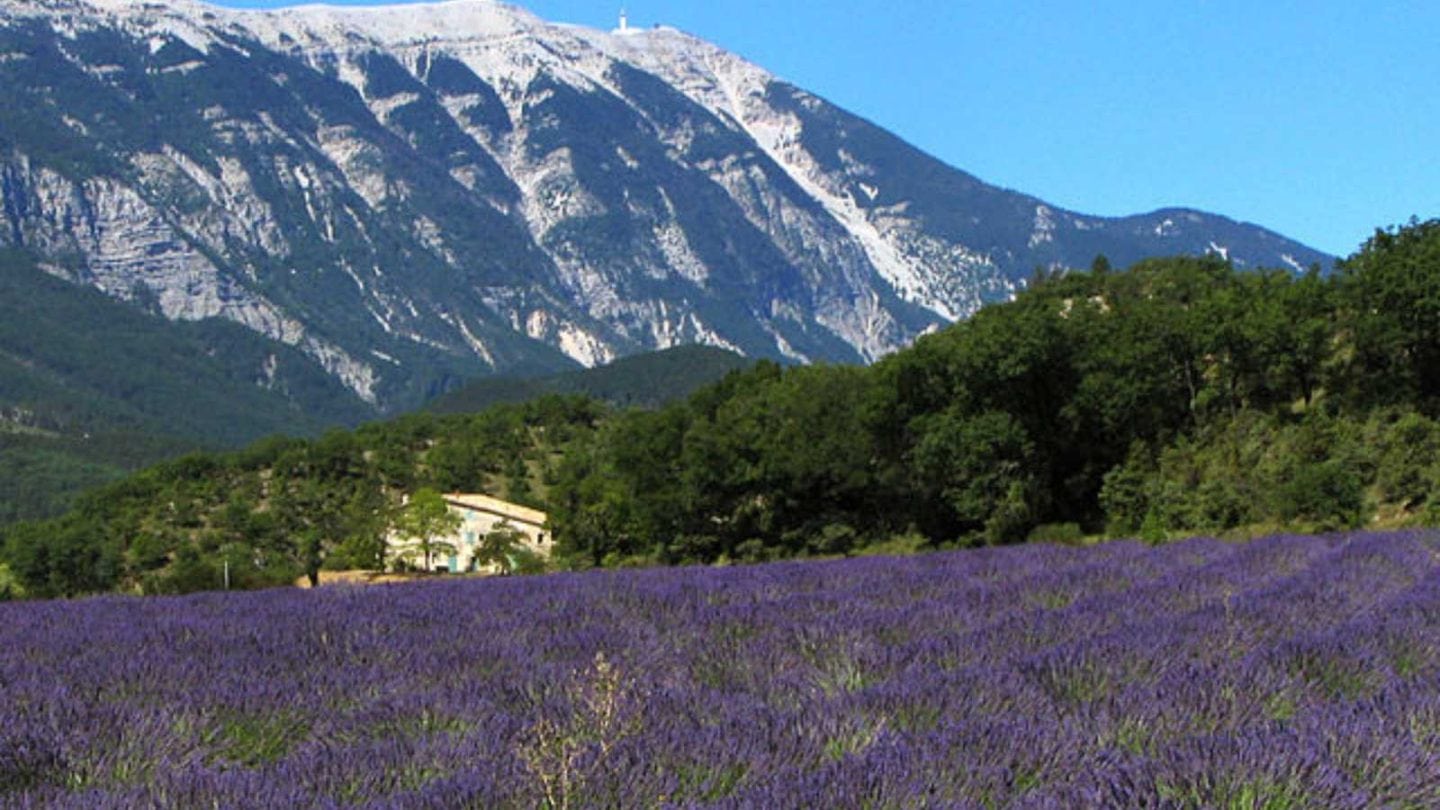 Charming Destinations Tailored for Seniors