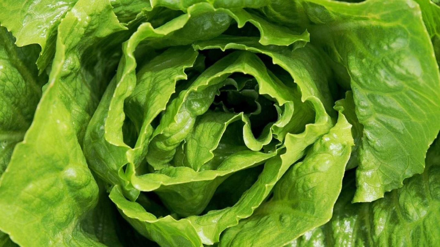 Surprising Foods You Should NEVER Store in Your Freezer!