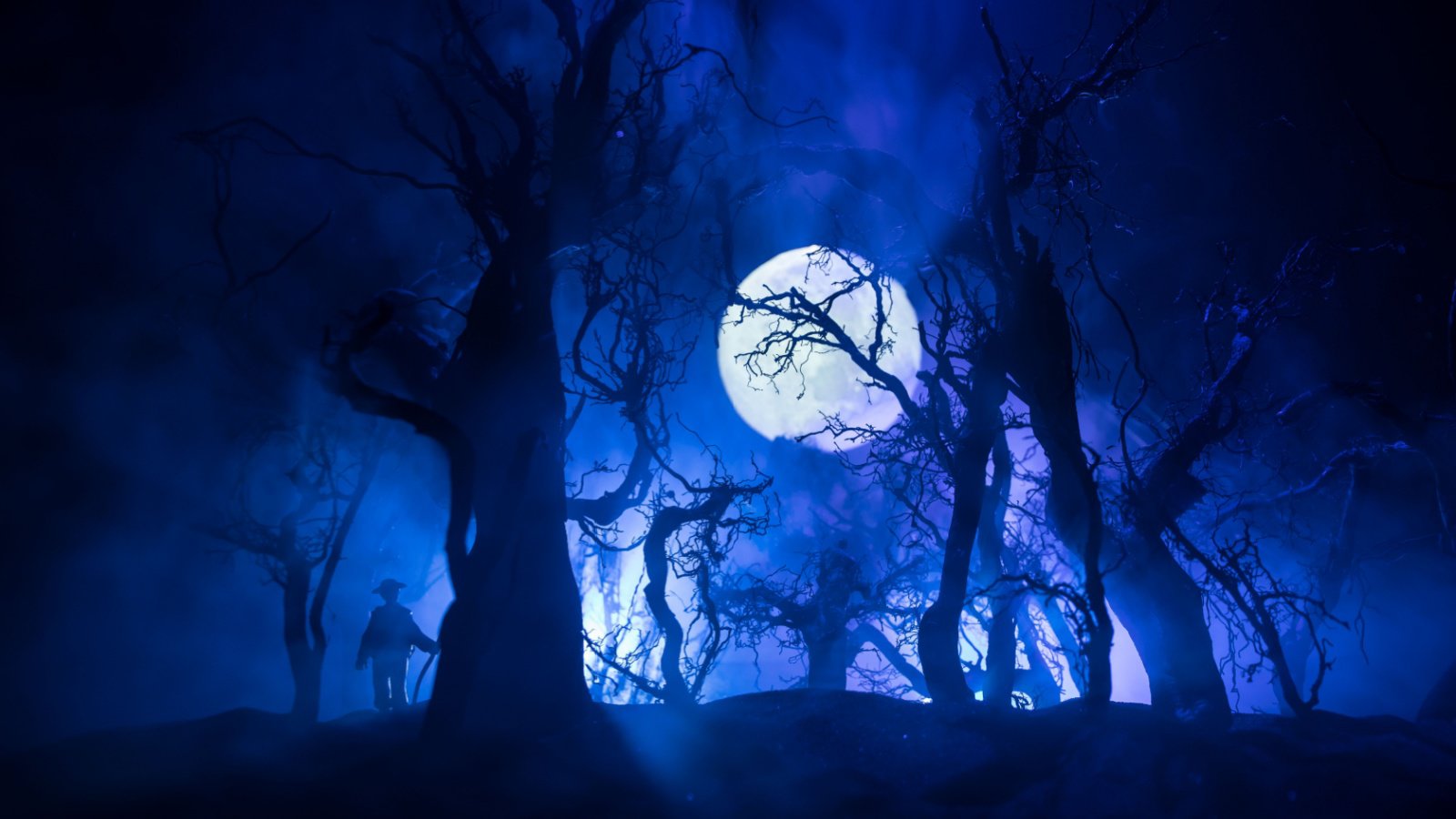 13 Most Terrifying Places on Earth That Will Give You Chills