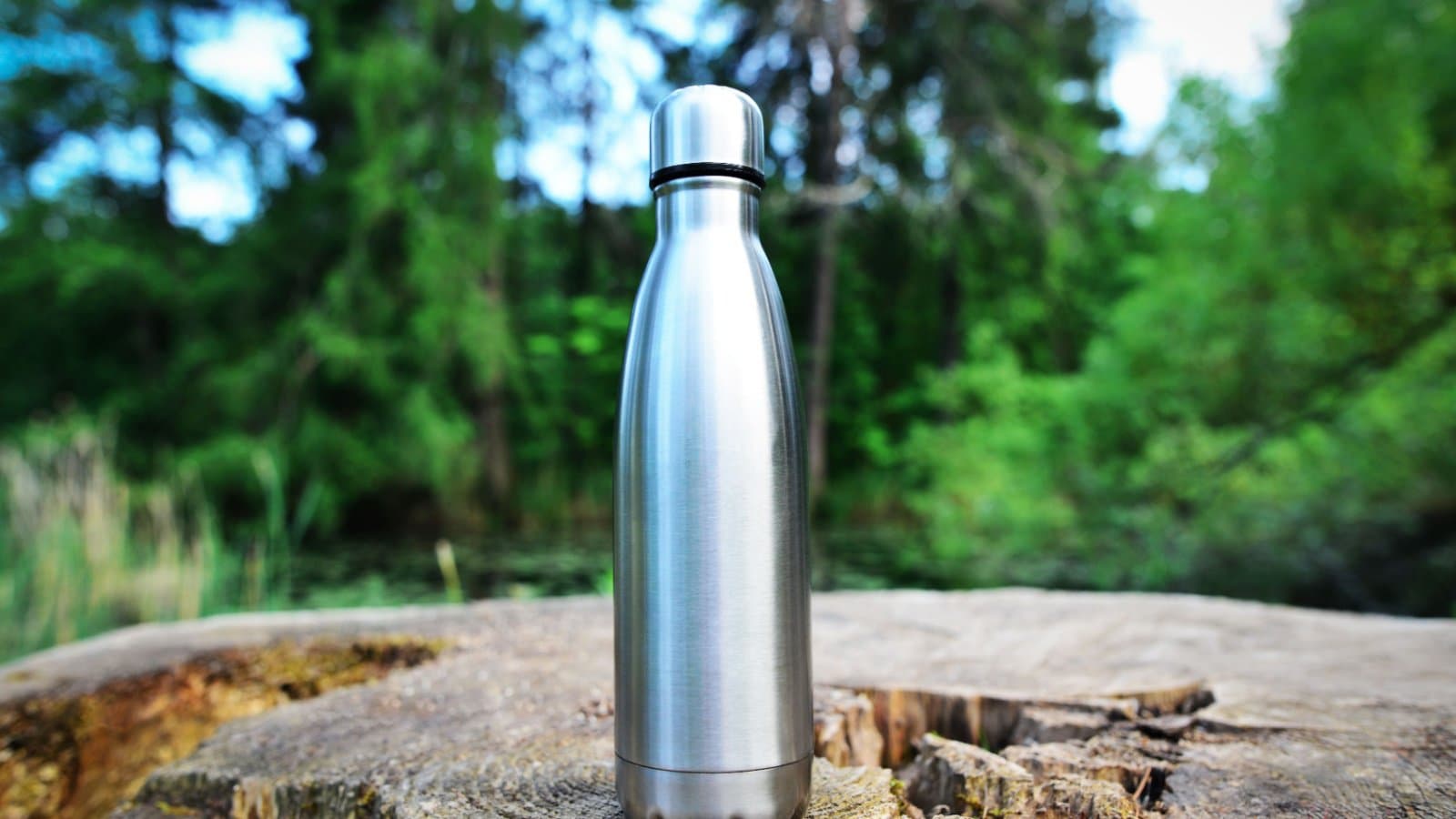 Must-Have Items That Slip Your Mind for Disney World Adventures 