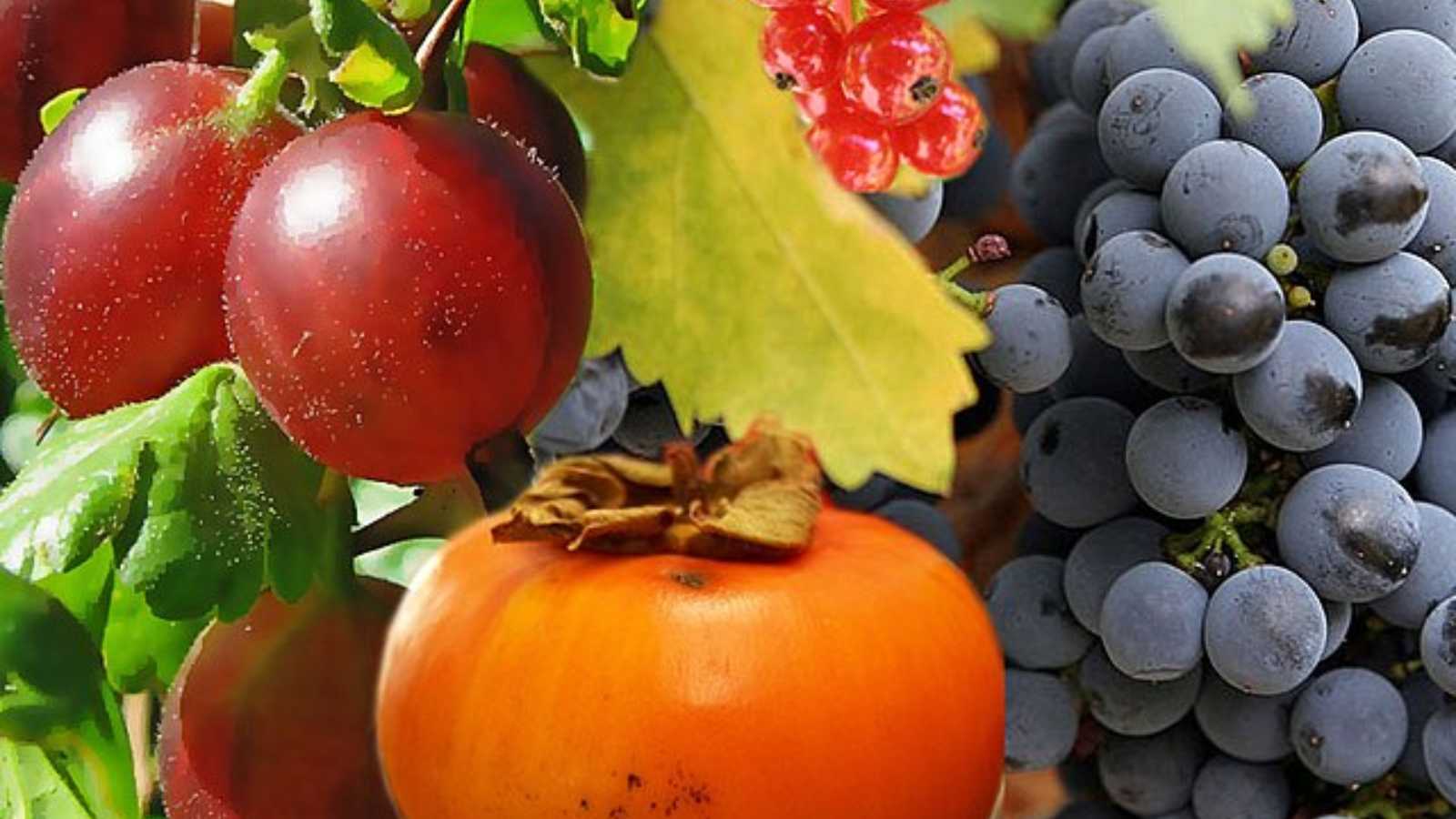 Stroke-Preventing Foods Recommended by Cardiologists