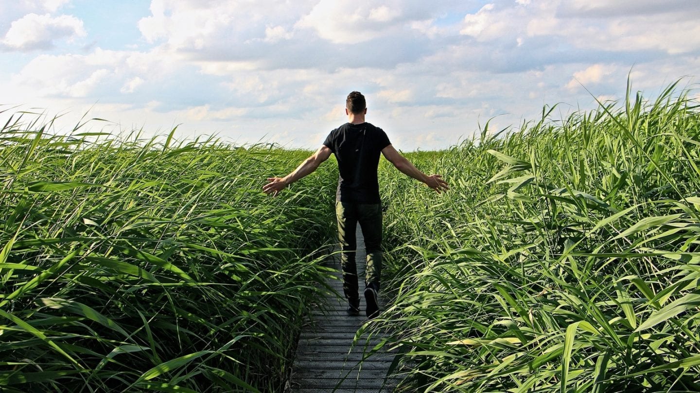 This image has an empty alt attribute; its file name is high-grass-1440x810.jpg