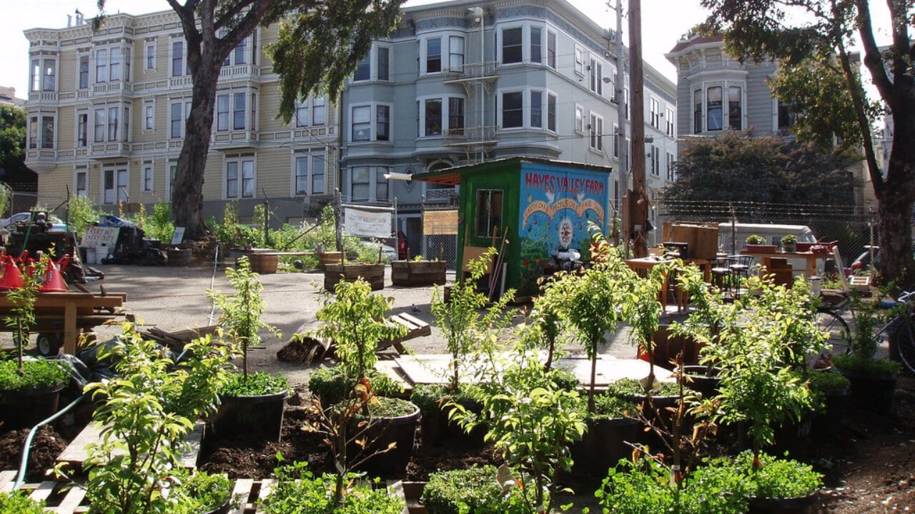 Hayes valley
