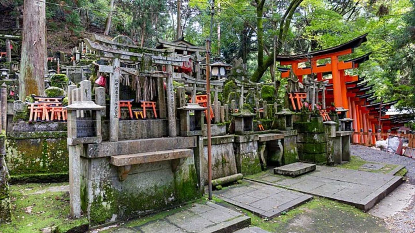 Secrets Locals Wish You Knew Before Your Next Adventure