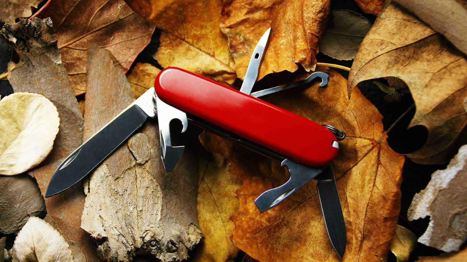 Game-Changing Safety Tools Every Solo Traveler Needs
