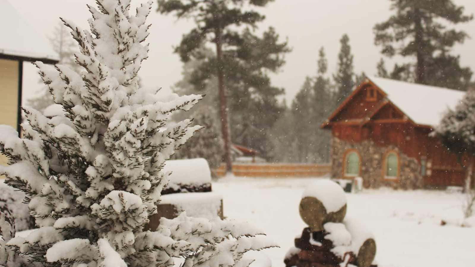 Enchanting Christmas Escapes That’ll Make You Feel Right at Home