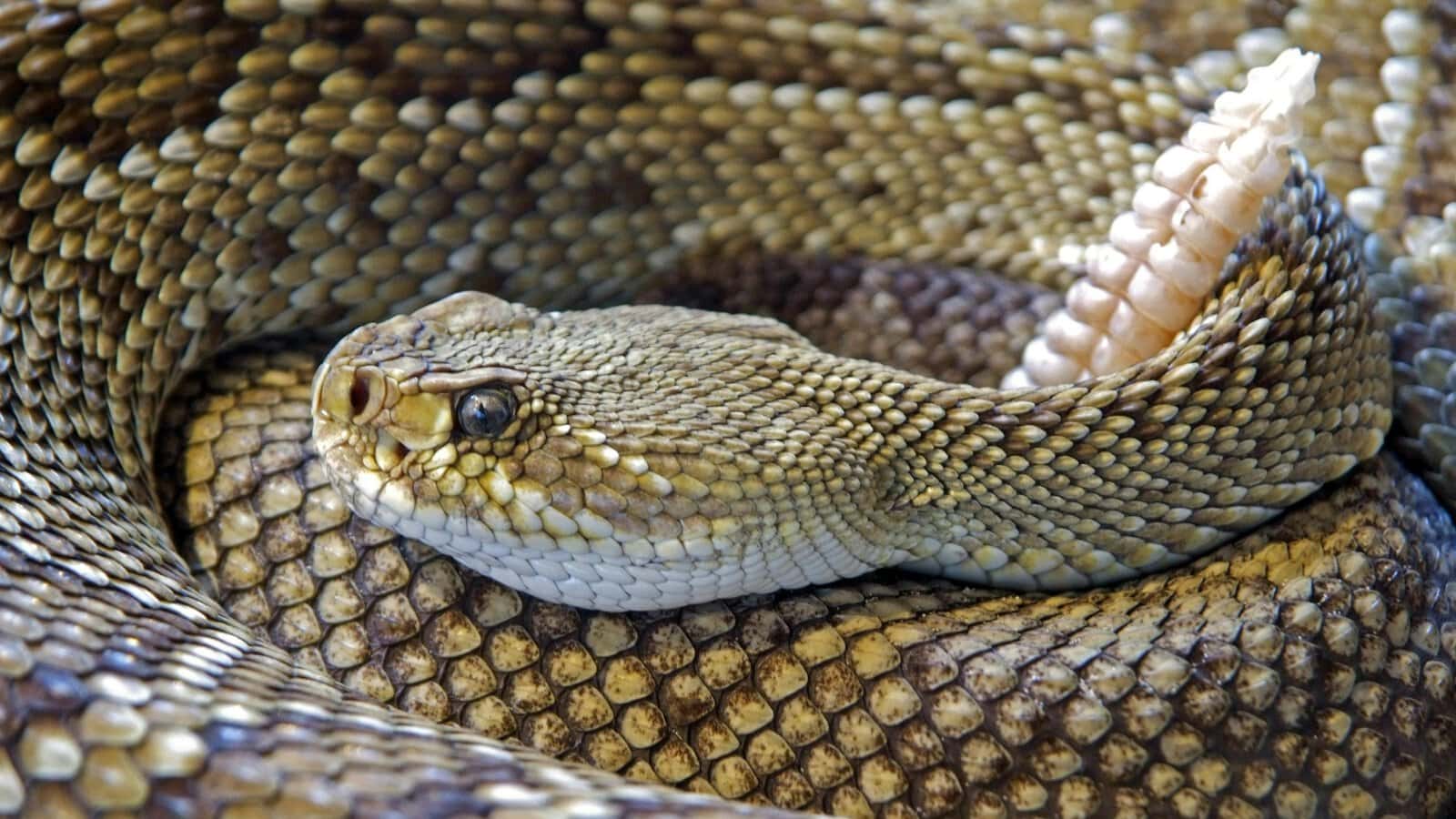 13 Myths About Arizona That Are Simply Not True