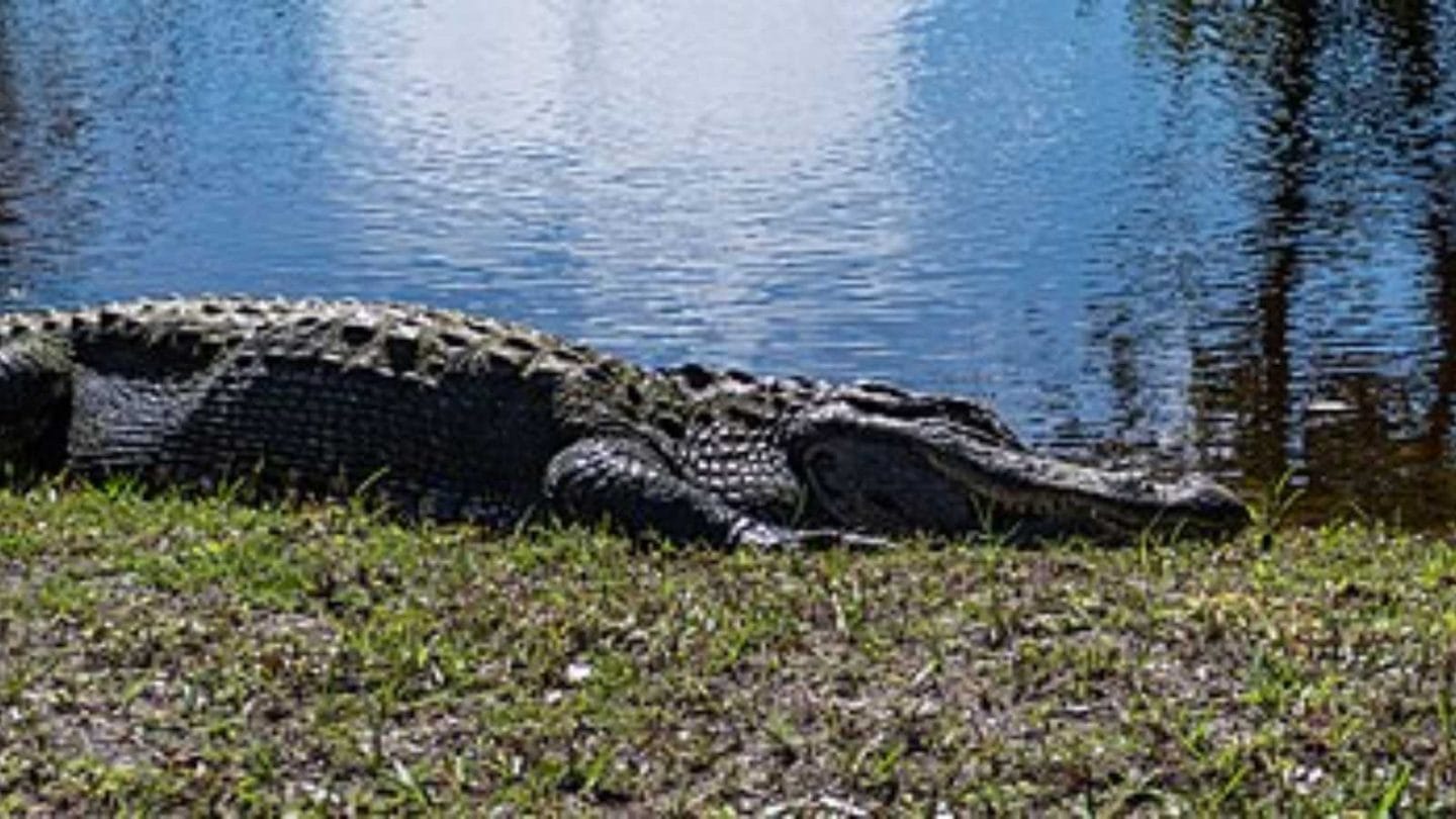 Stunning Florida Locations Where Photos Just Don't Do Them Justice