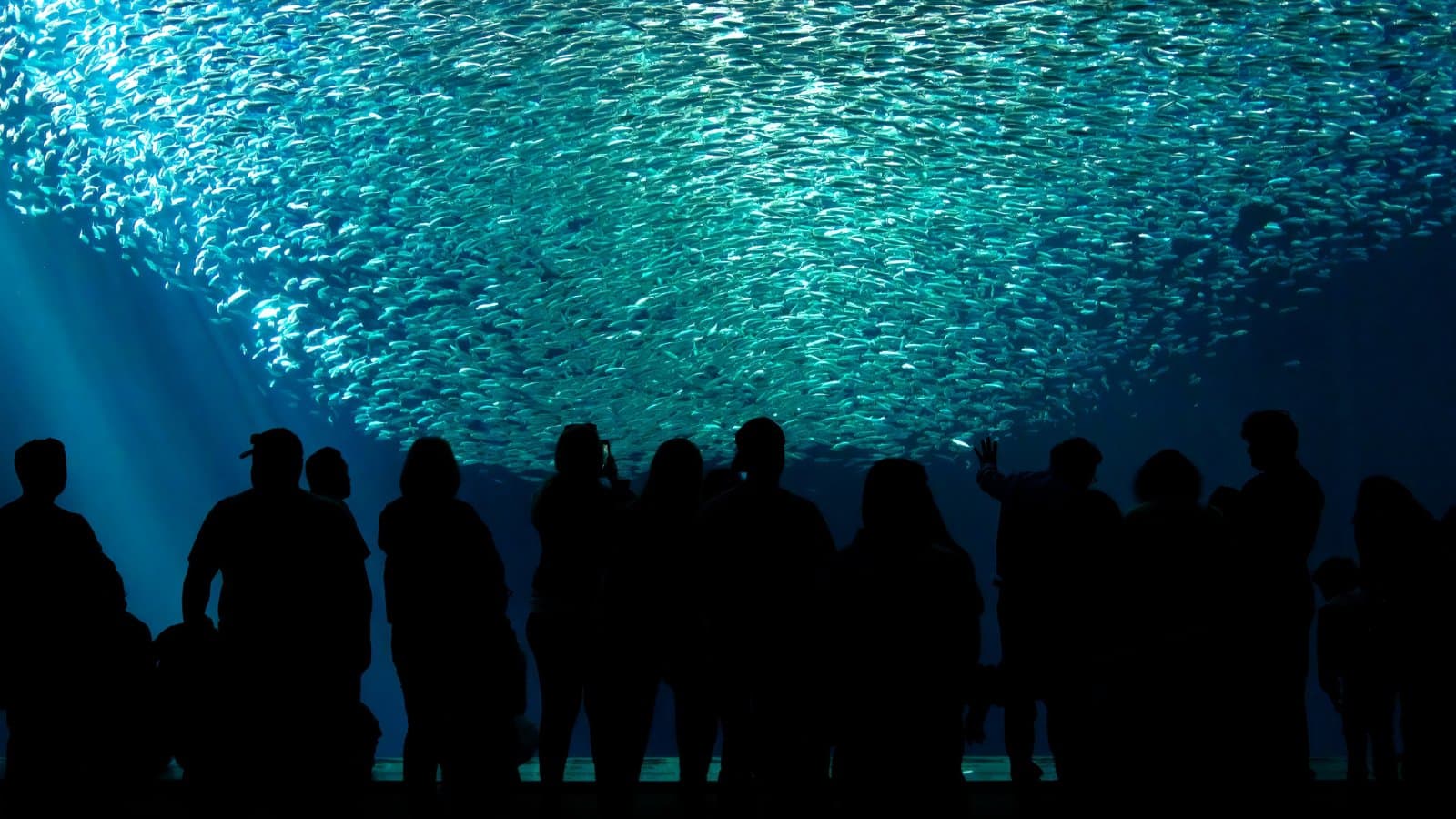 Breathtaking California Treasures Awaiting Your Visit