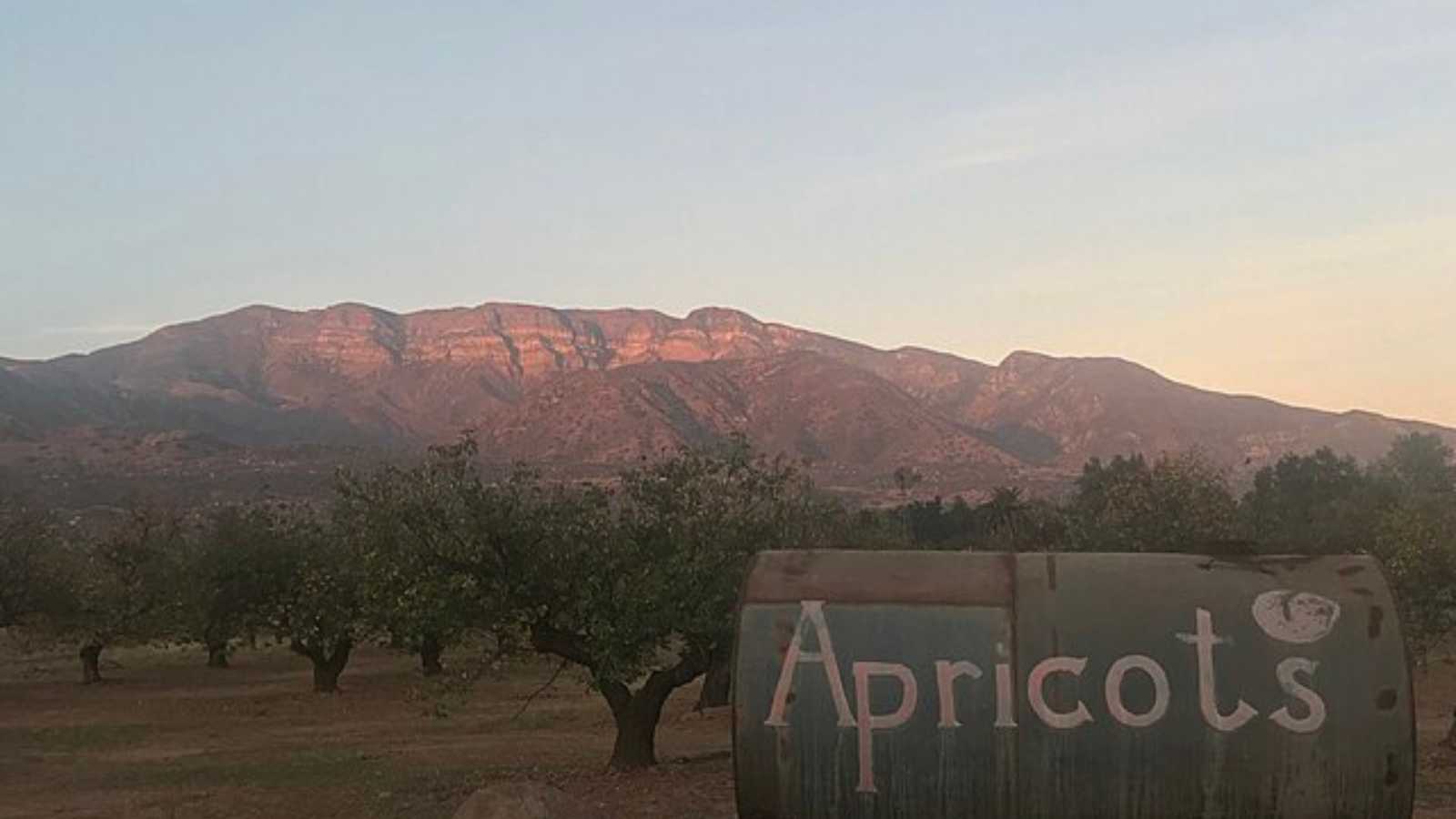 Delightful California Towns Full of Charm and Character  