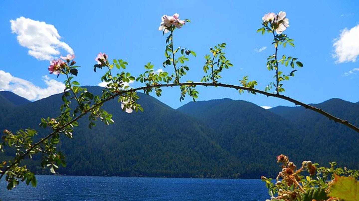 The Most Thrillingly Dangerous Camping Spots in the USA