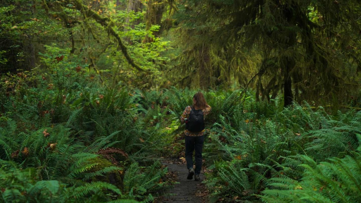 Top U.S. Hotspots for Unforgettable Adventures