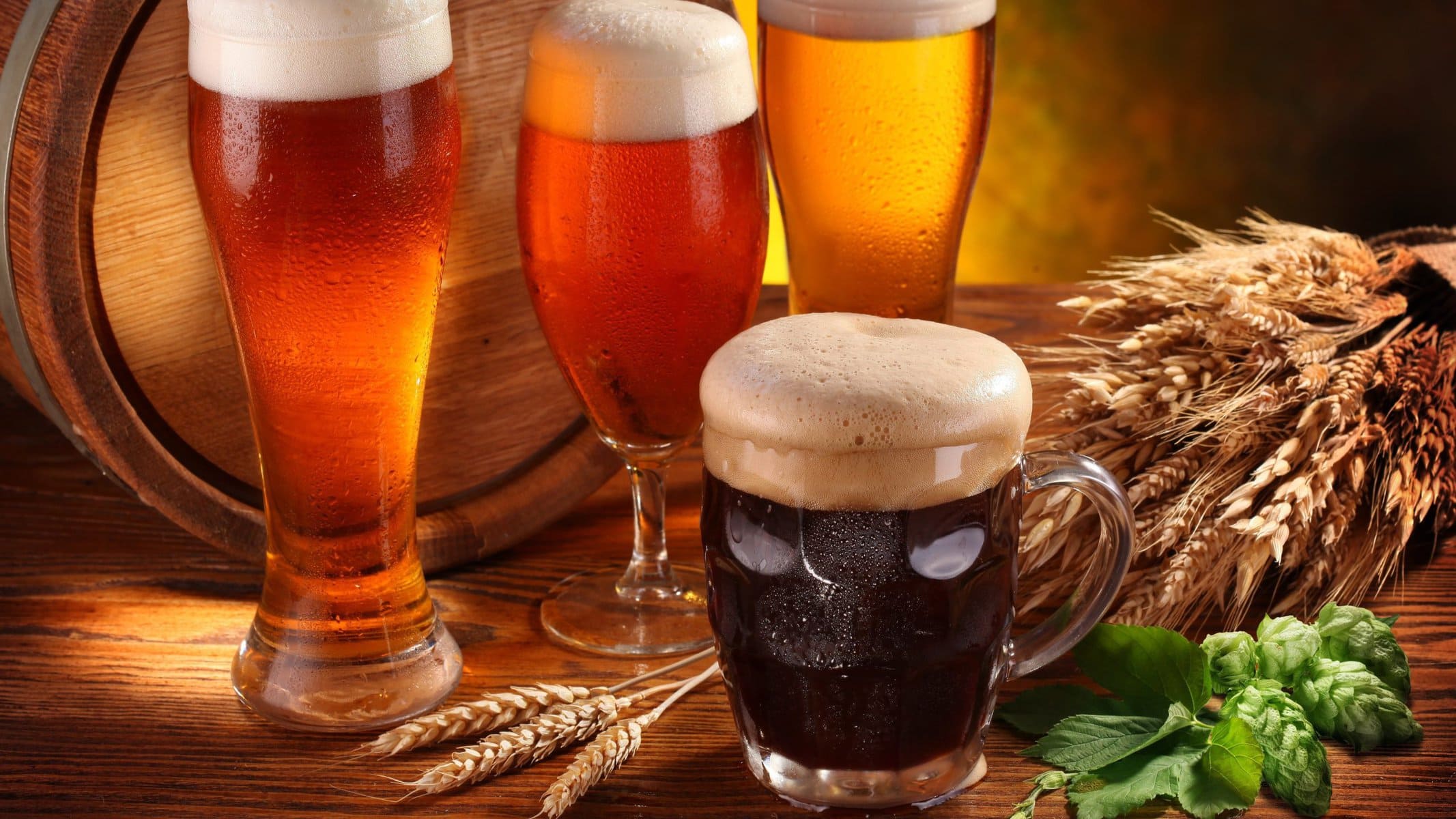 The Top 13 Best Breweries in Colorado