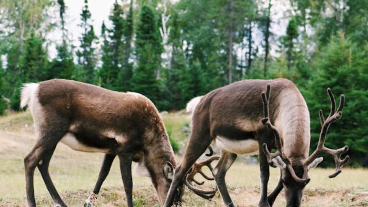 Things That Most Americans Don’t Know About Canada