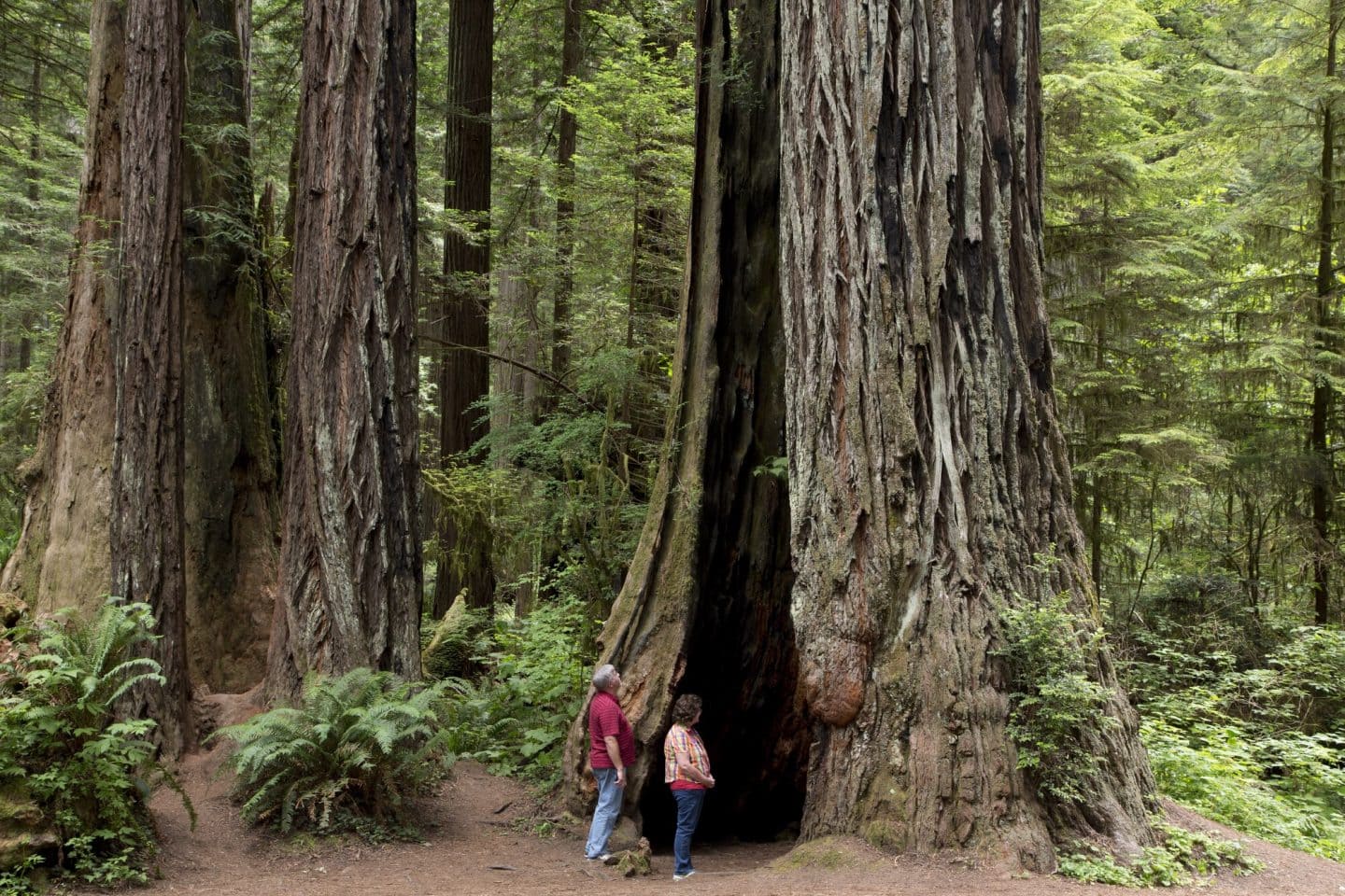 15 Epic U.S. Destinations That Belong on Every Nature Lover’s Bucket List