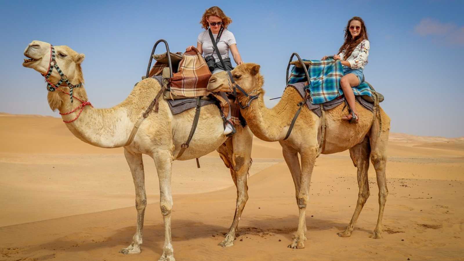 Secrets Locals Wish You Knew Before Your Next Adventure