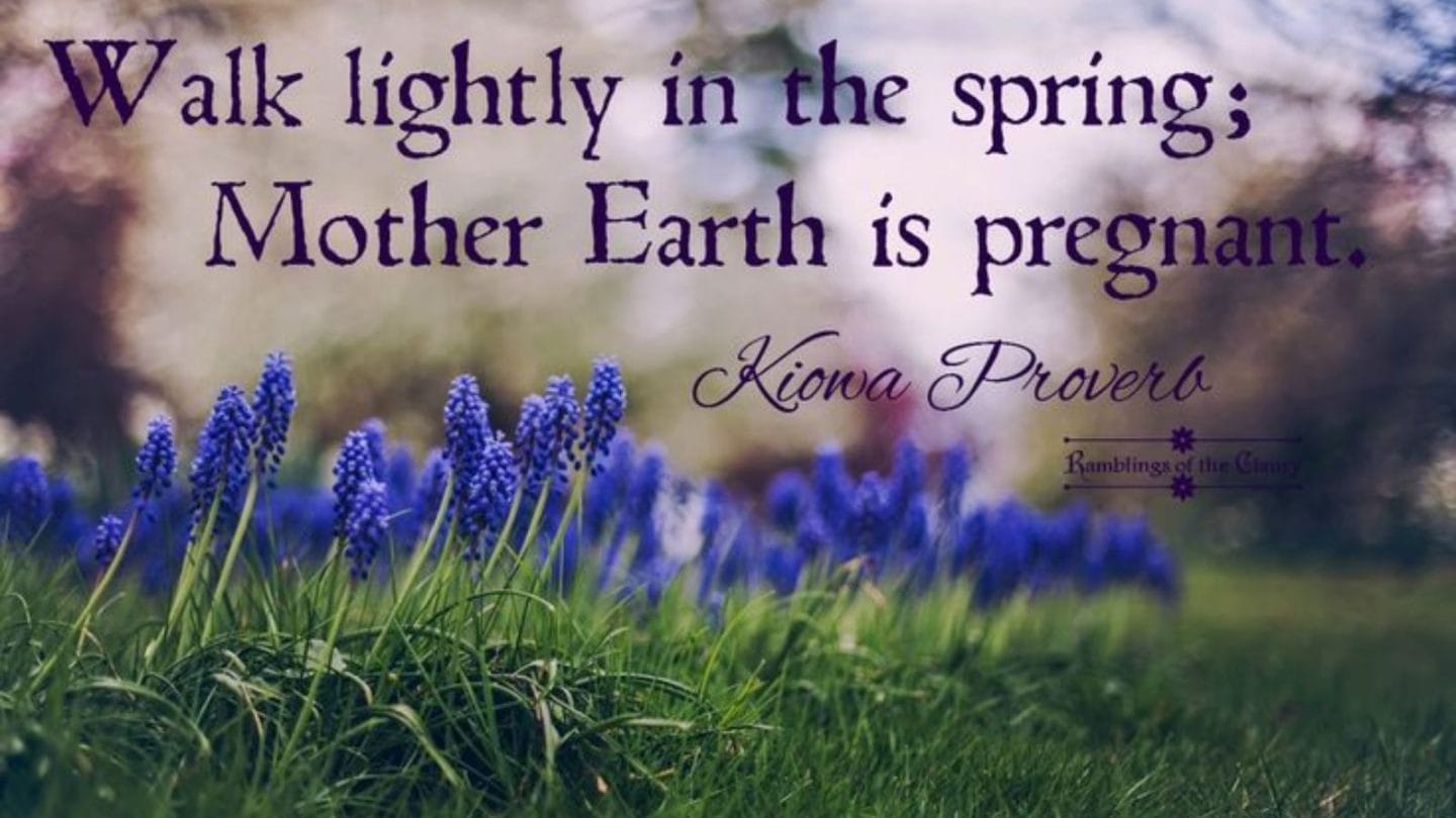 Profound Native American Proverbs That Will Transform Your Outlook to Life