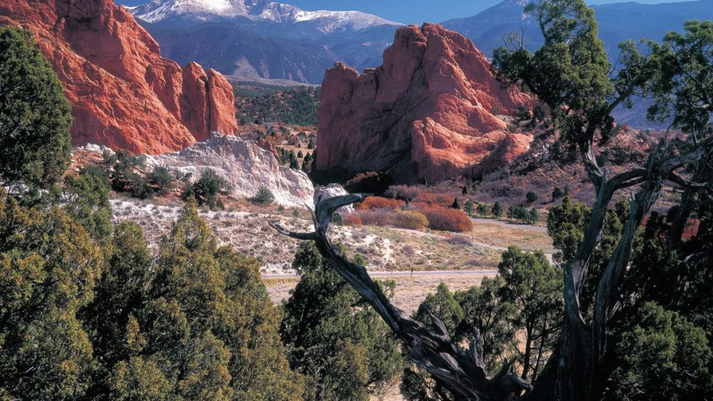 Best Cities to Live in the USA According to Votes
