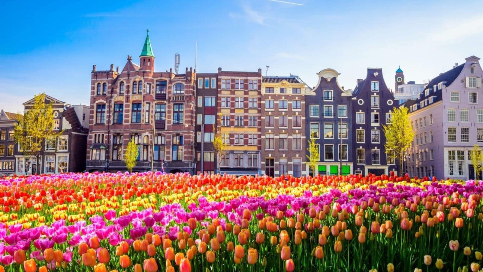 Cities With the Highest Quality of Life