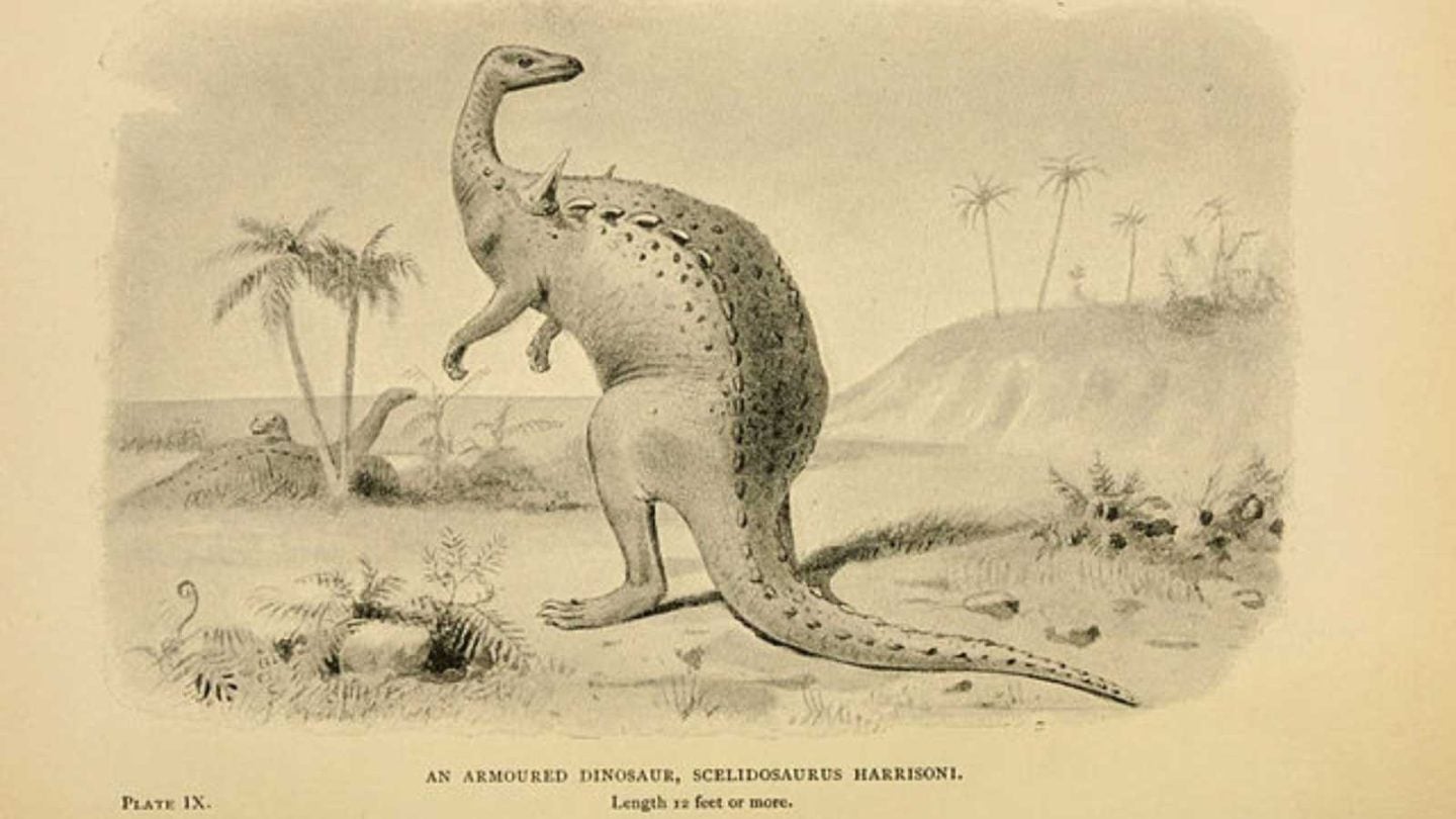 Unique Animals That Start With the Letter ‘X’