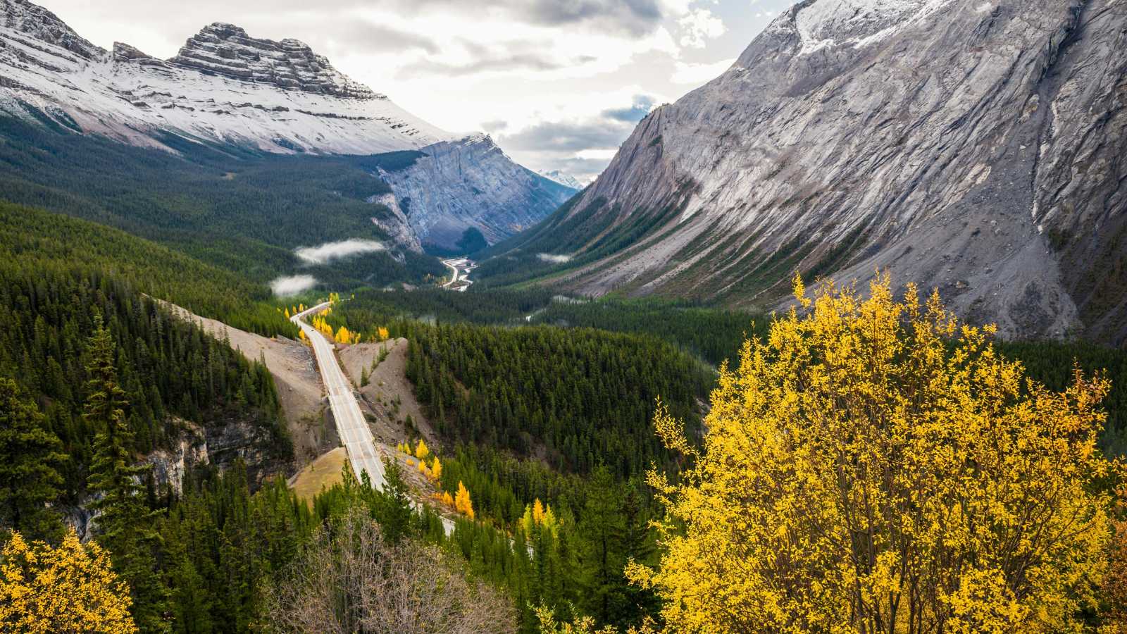 Countries Perfect for a Thrilling Drive 