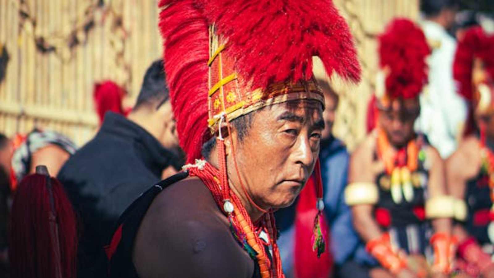 Thrilling Bucket List Picks for Those Over 65