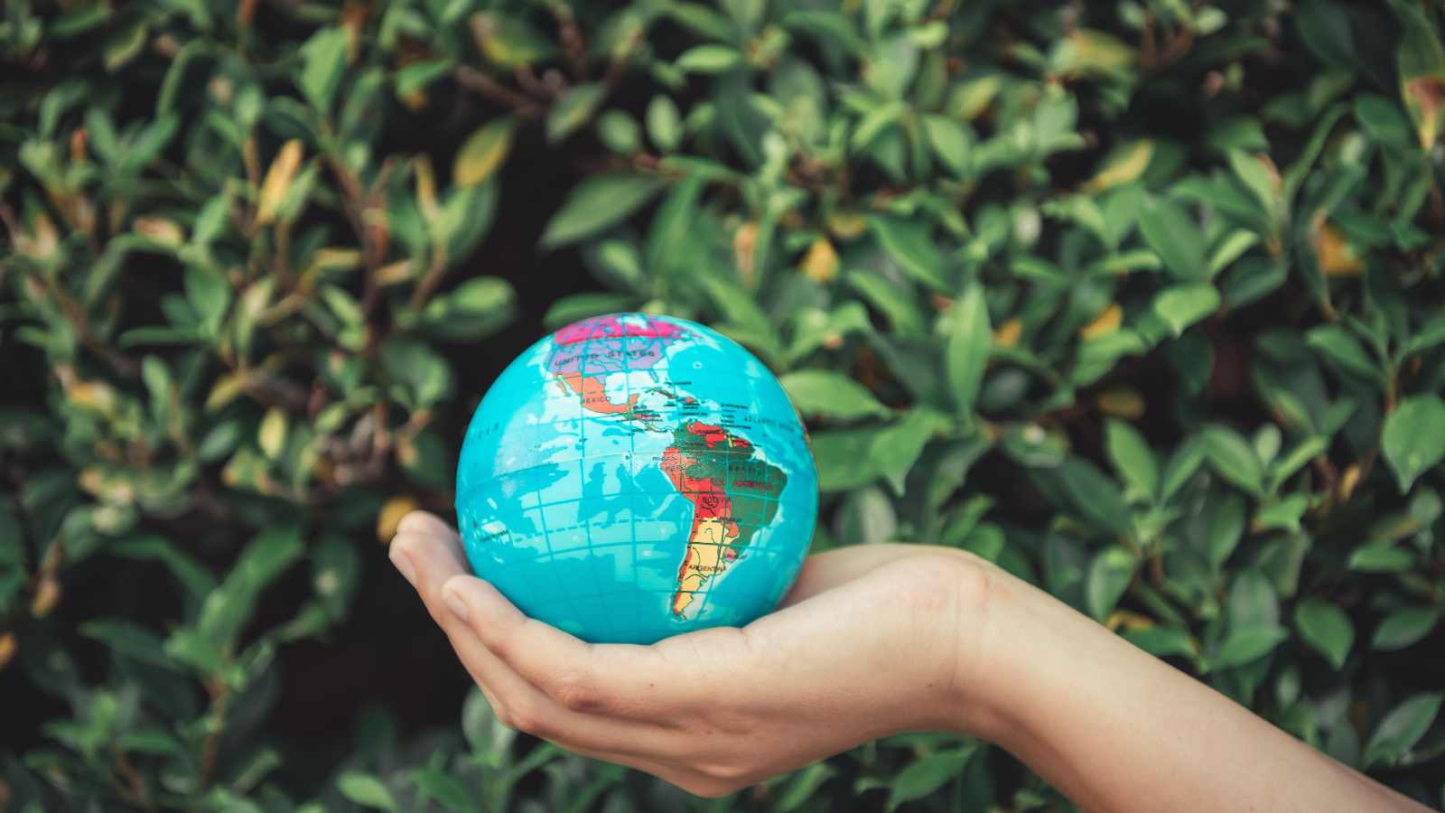 15 Eye-Opening Factors Making International Vacations Less Appealing