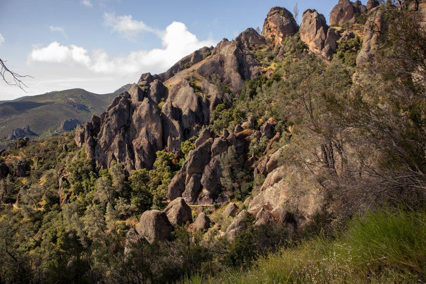 Explore the stunning rock formations and lush greenery at Pinnacles National Park, California.