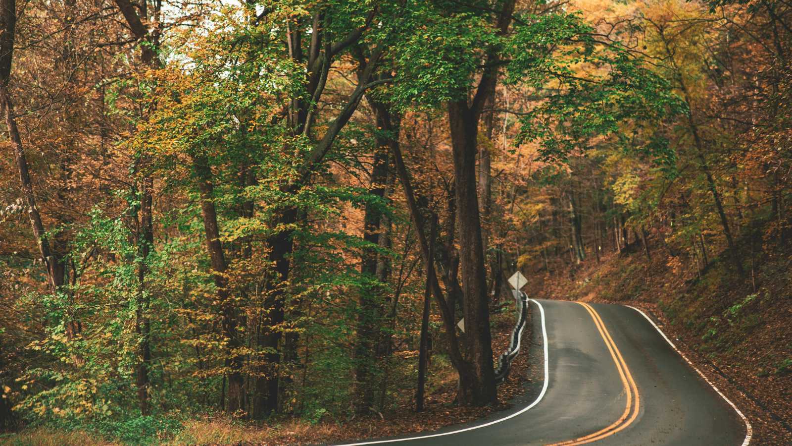 Countries Perfect for a Thrilling Drive 