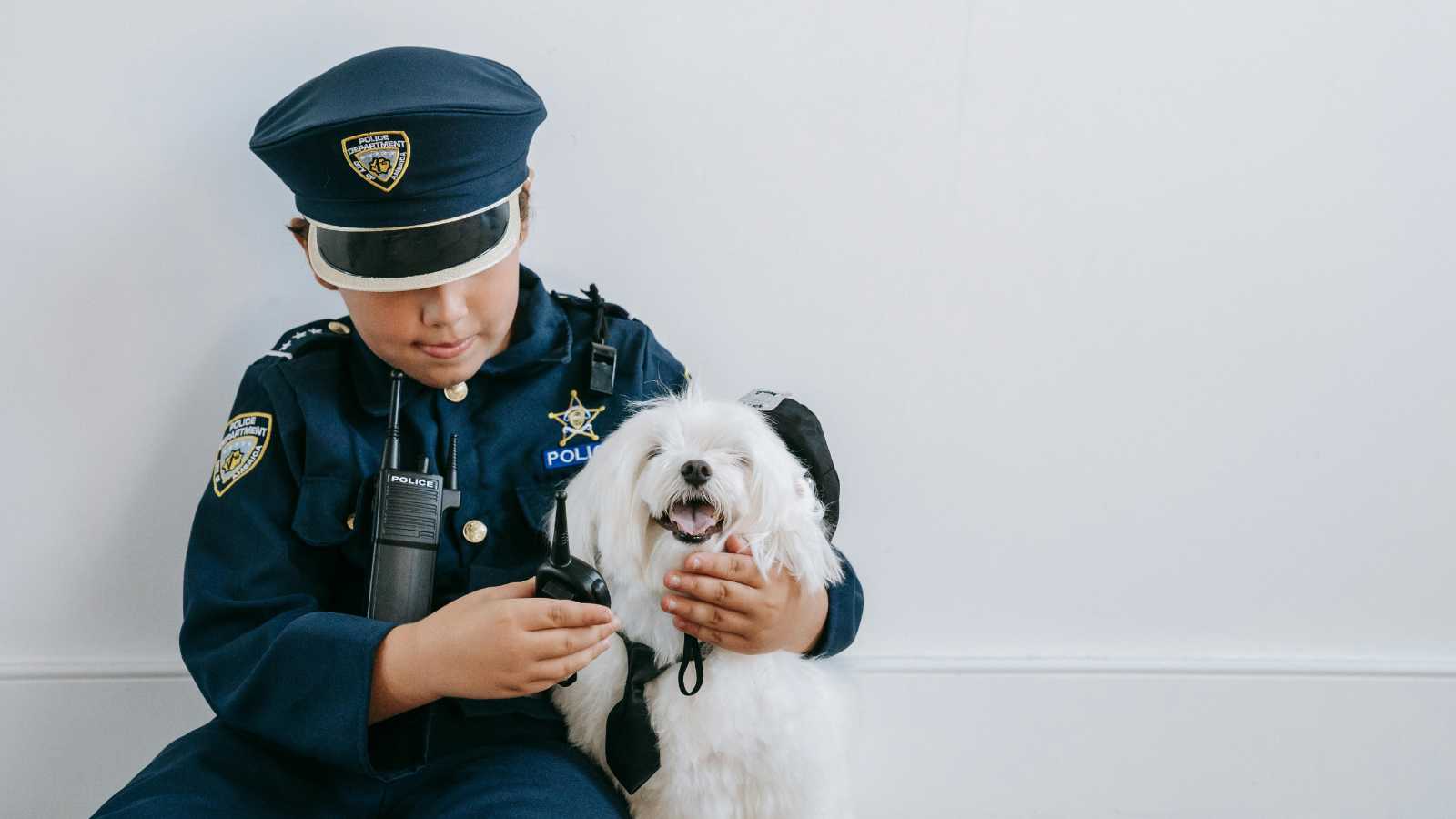 Essential Tips for Traveling with Your Furry Friend