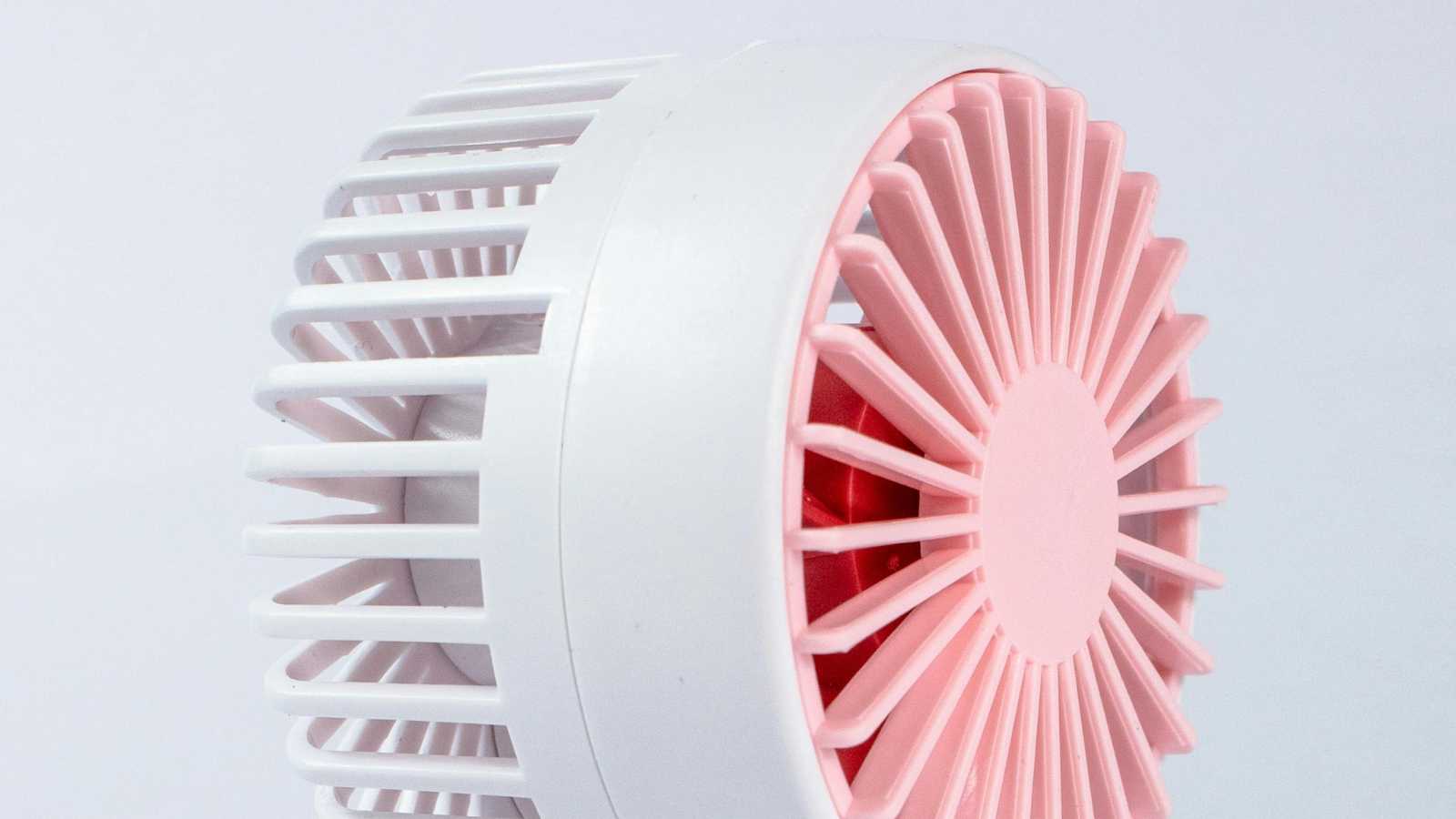 Must-Have Items That Slip Your Mind for Disney World Adventures 