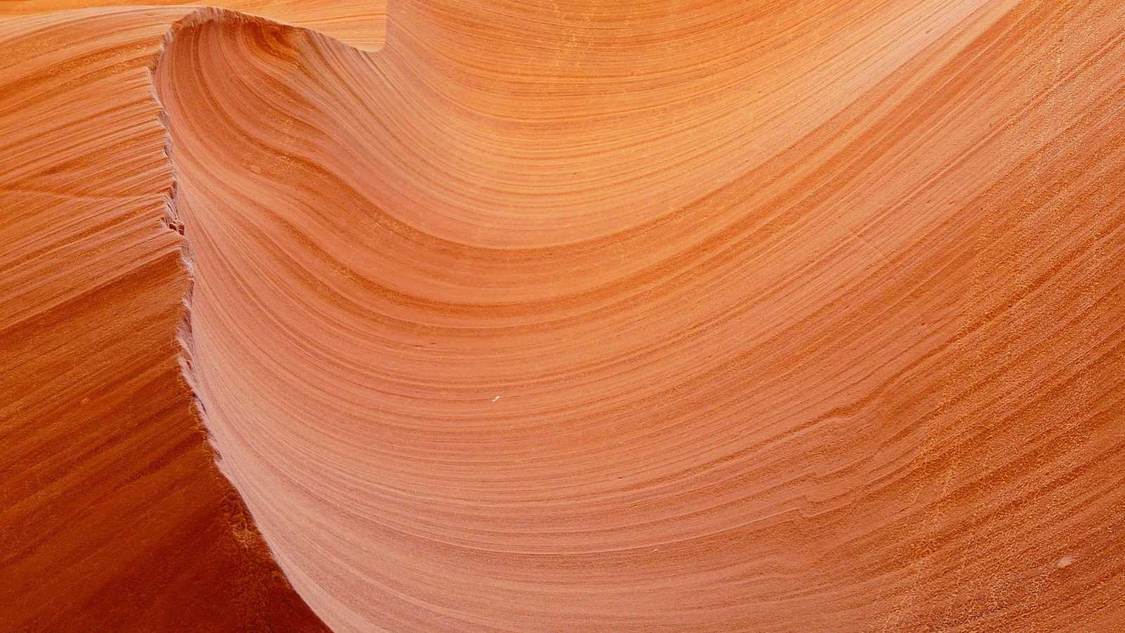 Unique American Adventures You Won't Find Anywhere Else 