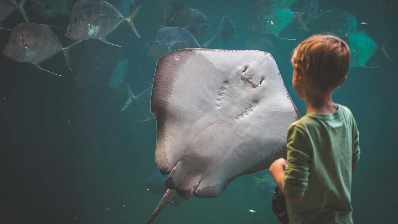 Unique American Adventures You Won't Find Anywhere Else 